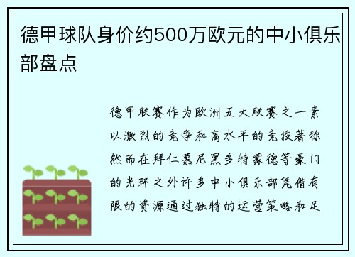 德甲球队身价约500万欧元的中小俱乐部盘点